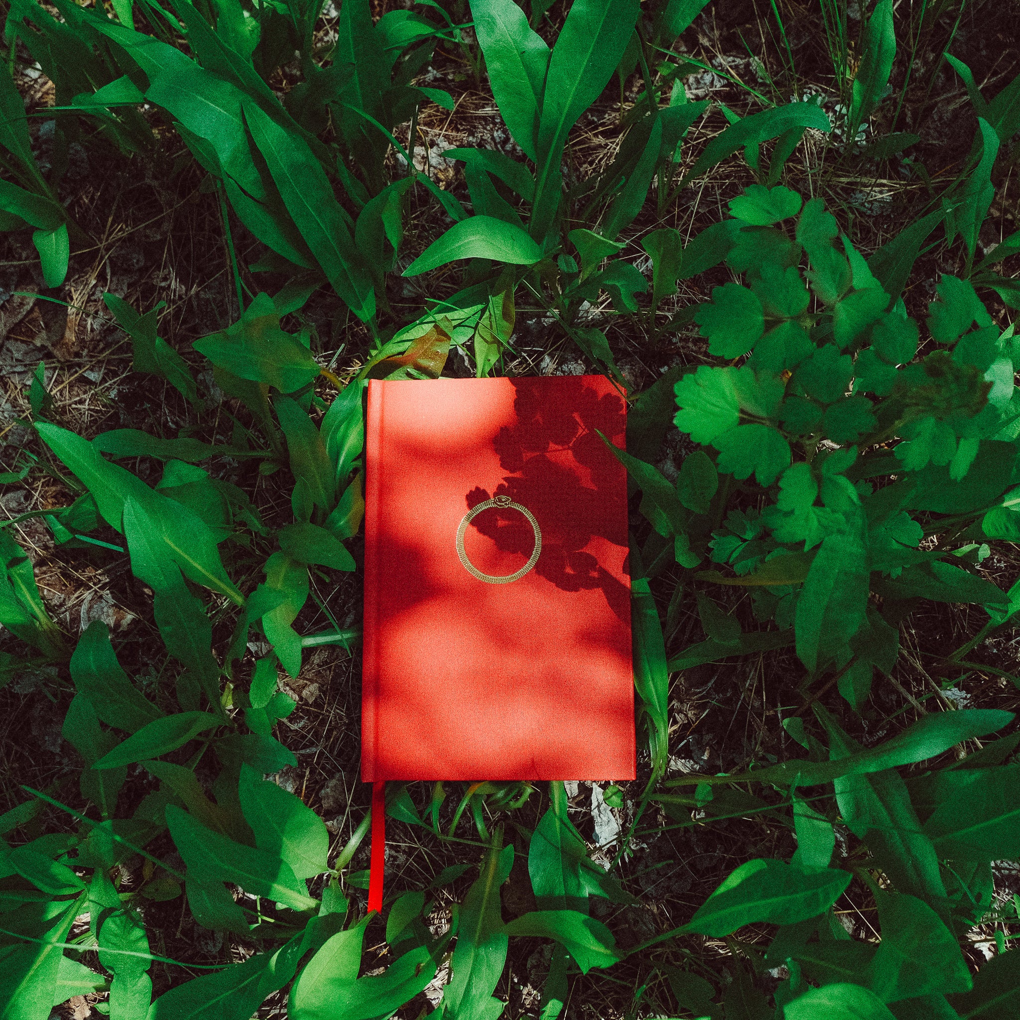 The ORIGINAL Ouroboros Onion Skin Journal THE ONION SKIN JOURNAL