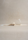 Onion Skin Notepad