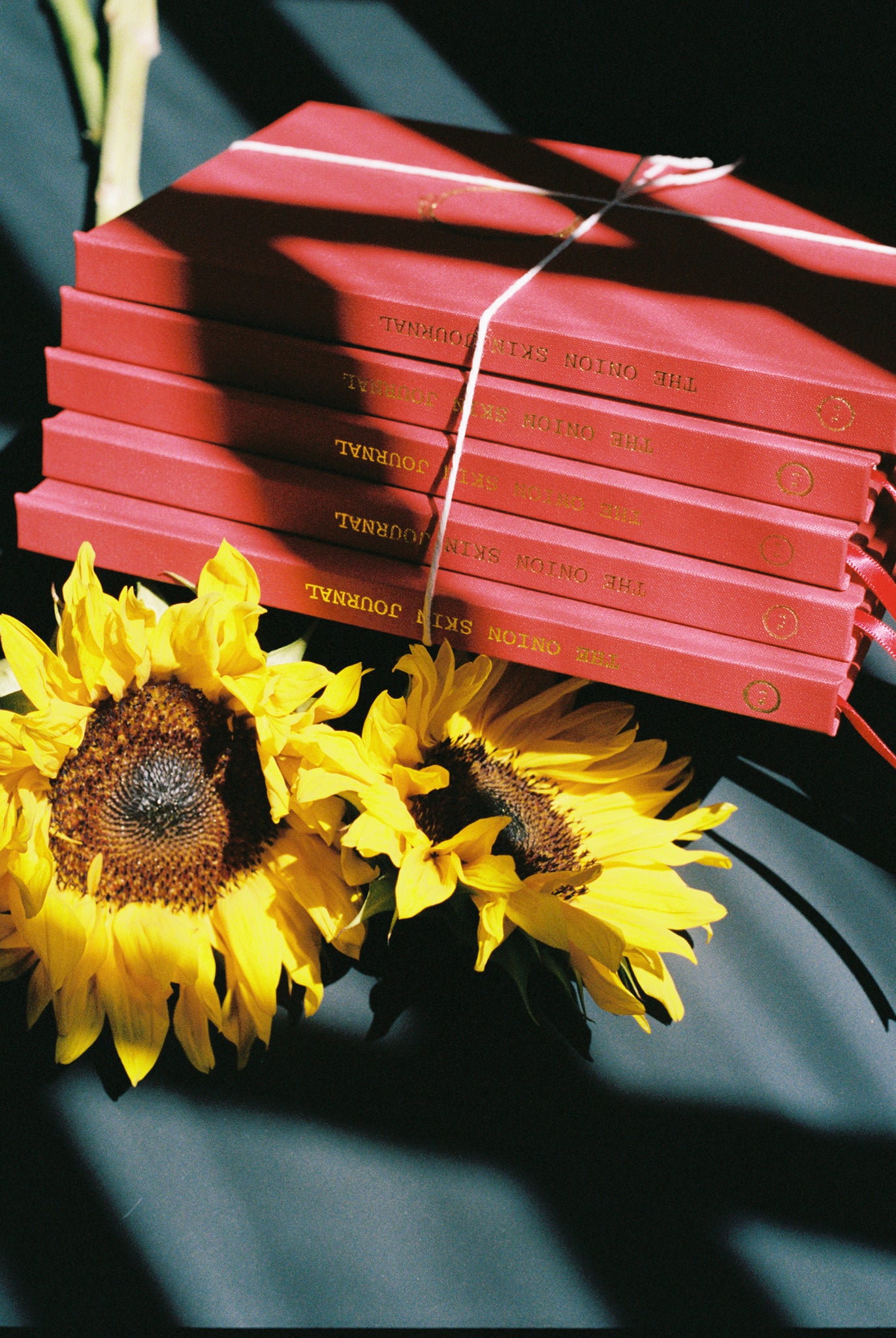 Complete Set of ORIGINAL Ouroboros Onion Skin Journal THE ONION SKIN